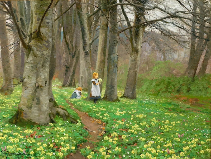 שתי בנות קוטפות פרחים ביער באspring. - ה. א. ברנדקילדה