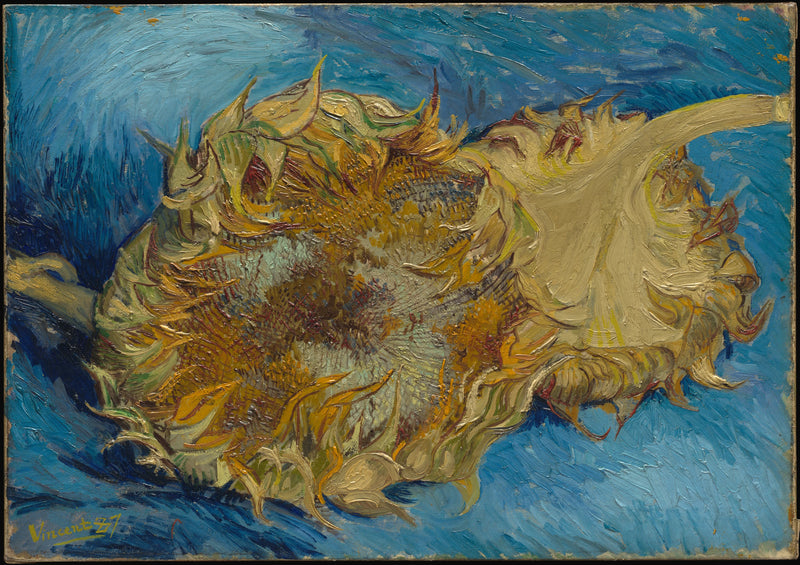 שני חמניות - Vincent van Gogh