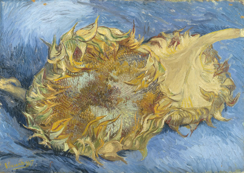שני חמניות - Vincent van Gogh
