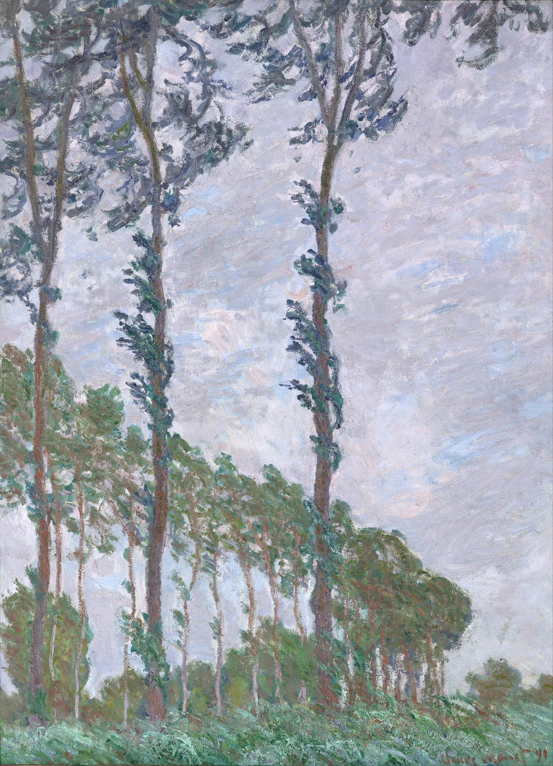 אפקט רוח, סדרת Poplars W1302 - קלוד מונה