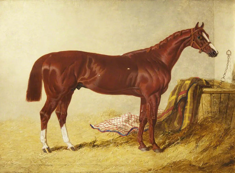 אליס, מנצח בסט לג'ר סטייקס, 1836, באורווה נפרדת - ג'ון פרדריק הרינג, סר