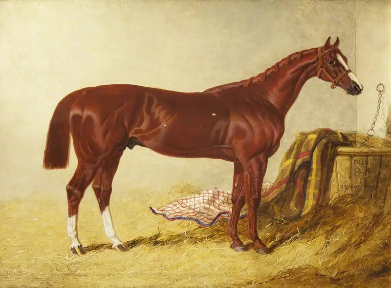 אליס, מנצח בסט לג'ר סטייקס, 1836, באורווה נפרדת - ג'ון פרדריק הרינג, סר