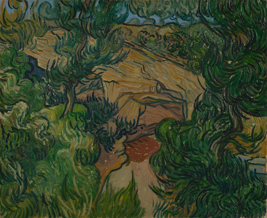 כניסה לקריירה - Vincent van Gogh