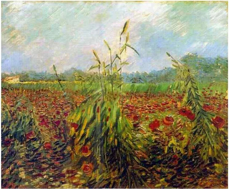 שיבולי חיטה ירוקים - Vincent van Gogh