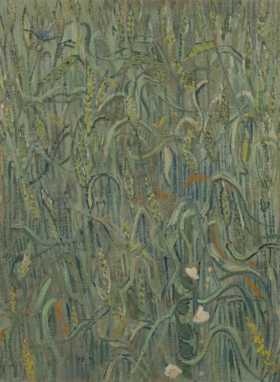 שיבולי חיטה - Vincent van Gogh