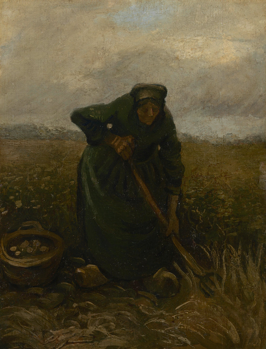 אישה מרימה תפוחי אדמה - Vincent van Gogh