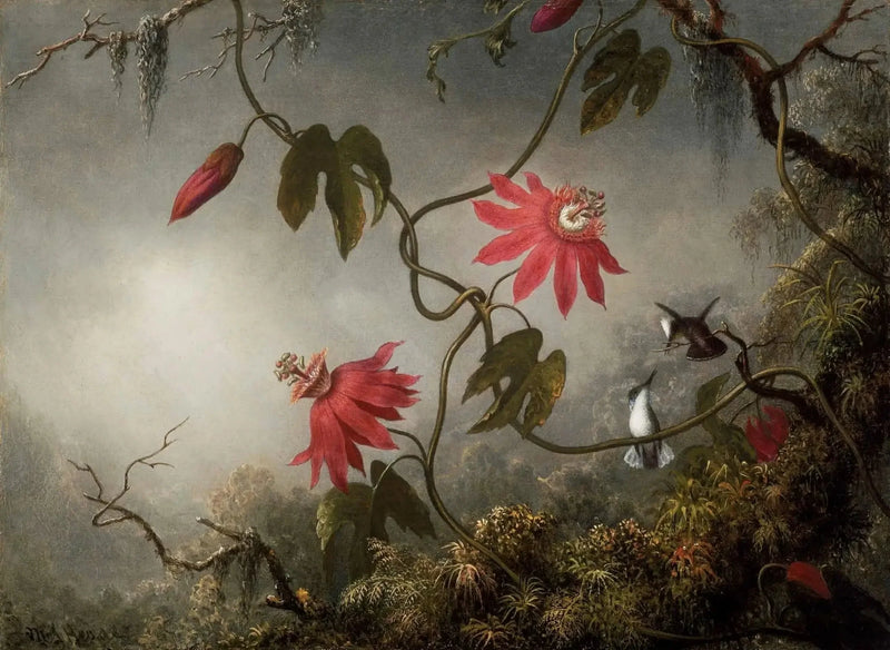 פרחי התשוקה וצבצבי-בר Martin Johnson Heade
