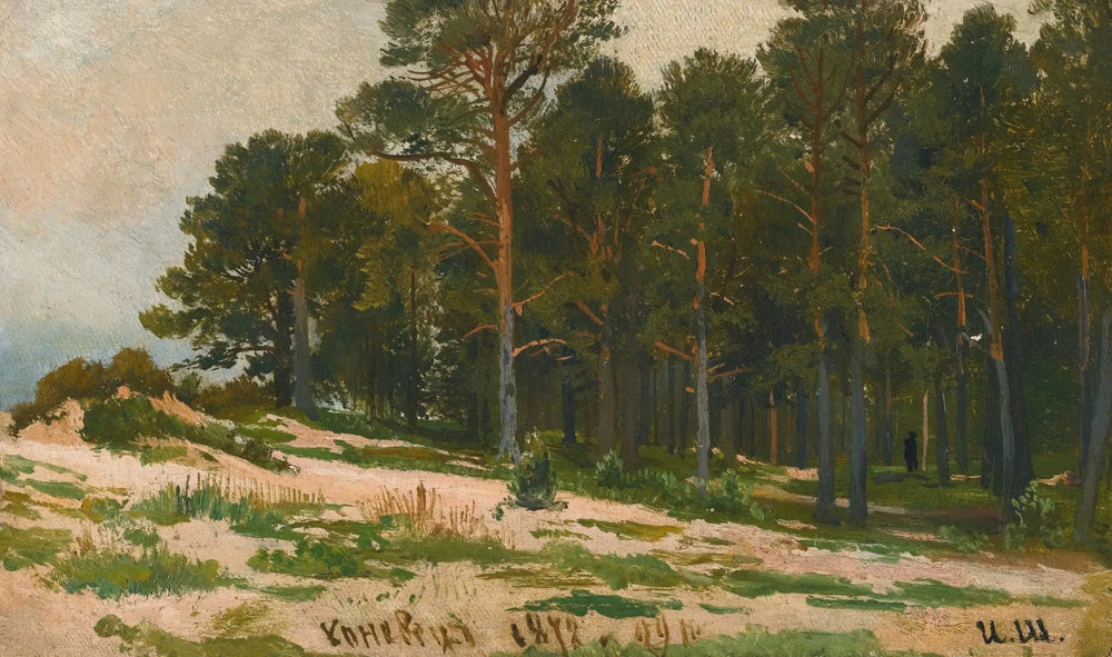 Forêt de pins - Ivan Chichkine - Alpha Reproduction