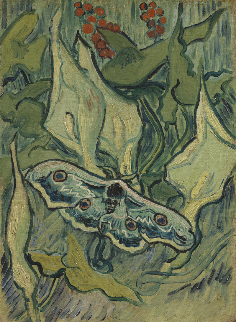 טווס לילה גדול - Vincent van Gogh