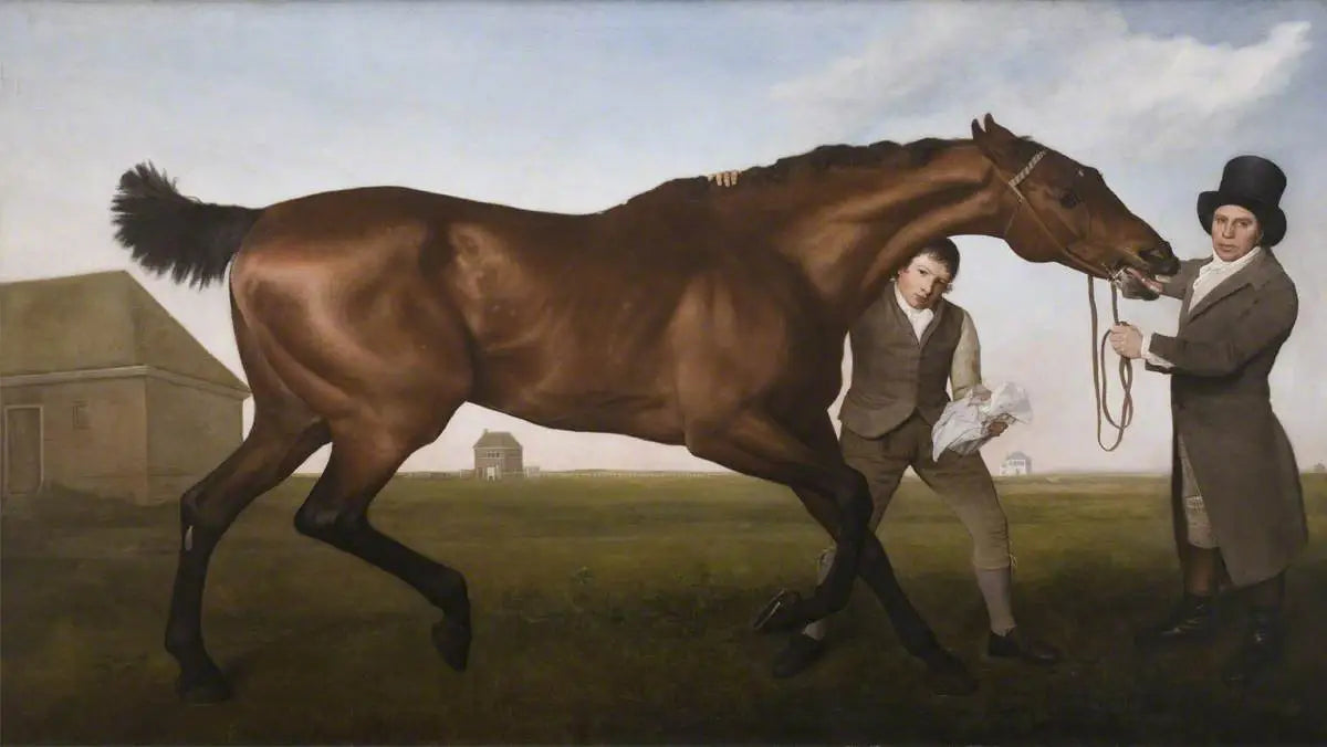 Hambletonien frotter - George Stubbs - Alpha Reproduction