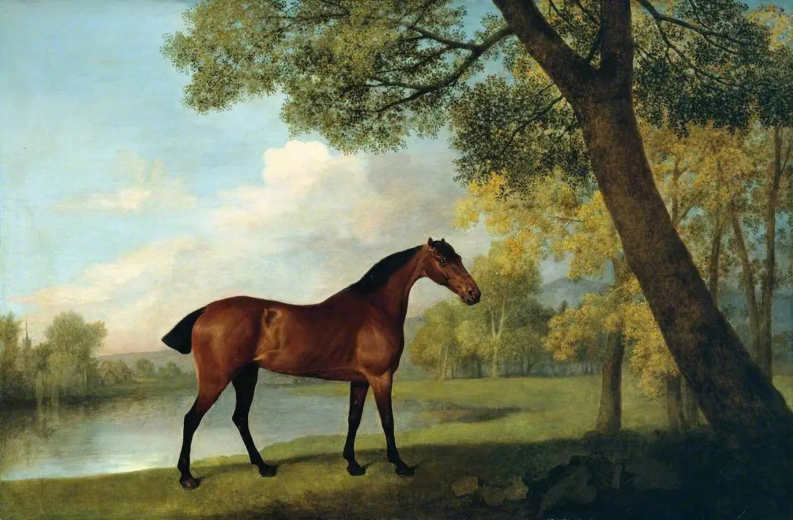 Hunter bai au bord d’un lac - George Stubbs - Alpha Reproduction