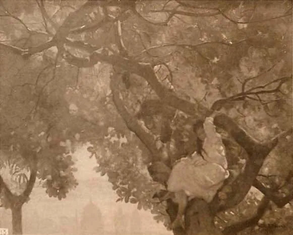 זיהוי ה-cajueiros שלנו - Eliseu Visconti