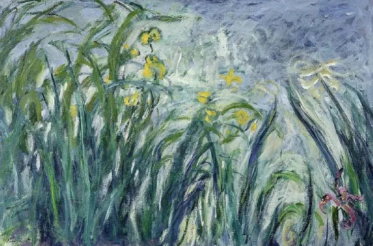 איריסים צהובים וסגולים - Claude Monet