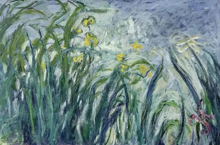 איריסים צהובים וסגולים - Claude Monet