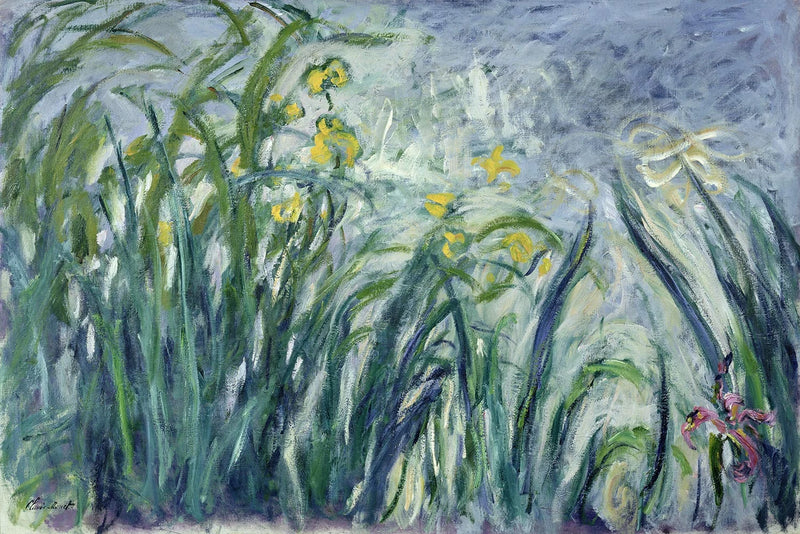 איריסים צהובים וסגולים - Claude Monet