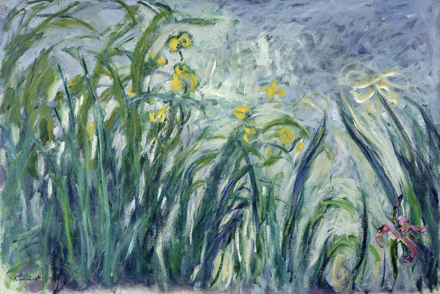 איריסים צהובים וסגולים - Claude Monet