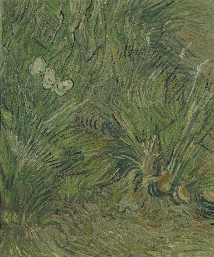 Jardin aux papillons de Vincent van Gogh, Van Gogh Museum, s0110V1962