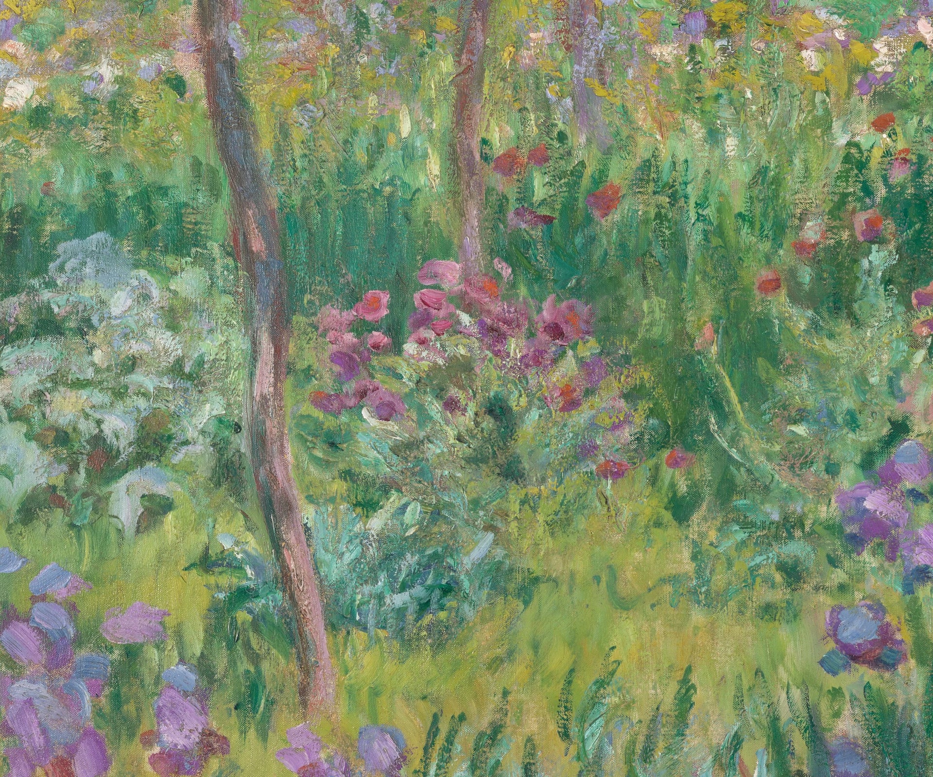 Détail des arbres fruitiers, des roses et des capucines dans le jardin de Monet à Giverny