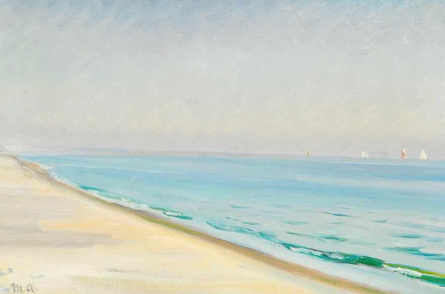 יום קיץ ב-Skagen Senderstrand. (מייקל אנשר) - מייקל פיטר אנשר