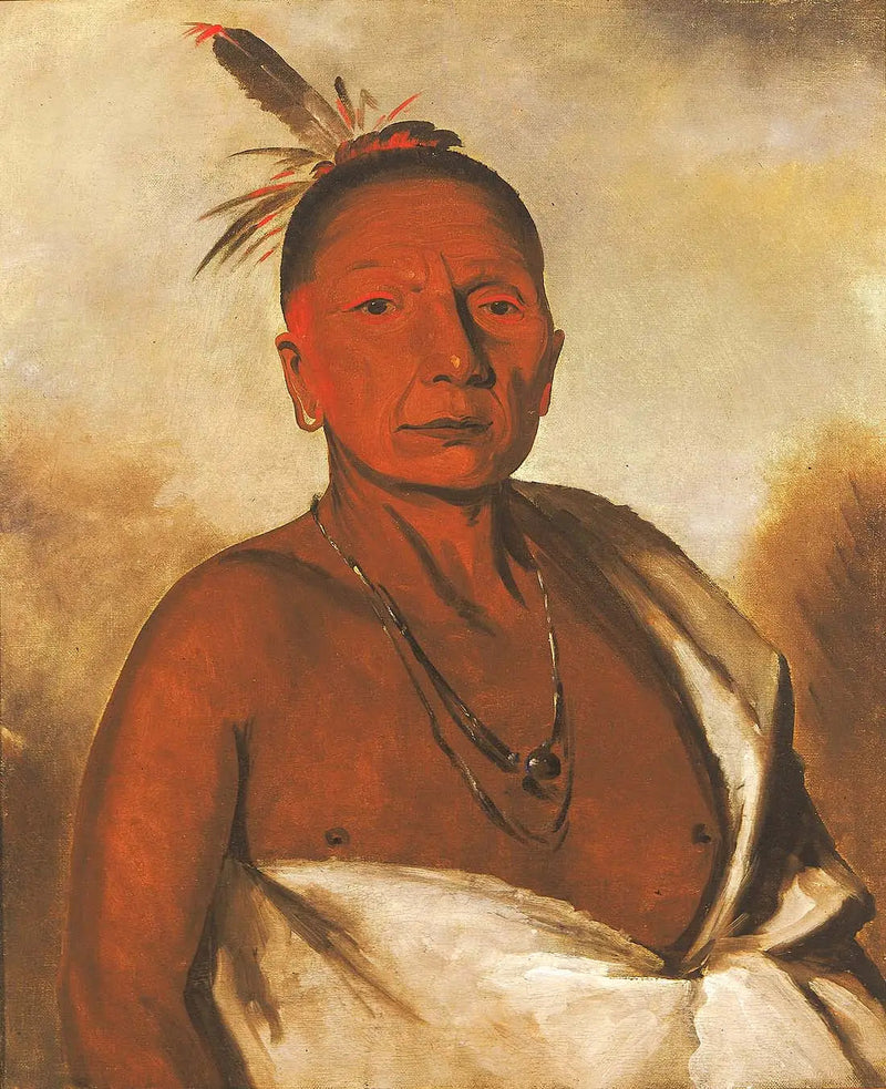 קיד-די-די, גבר מכובד ואמיץ - ג'ורג' קאטלין
