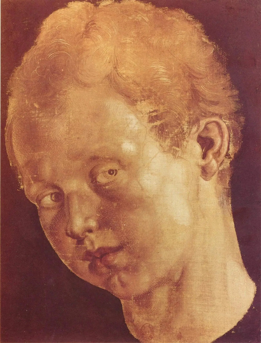 Q124458968 - אלברכט דורר