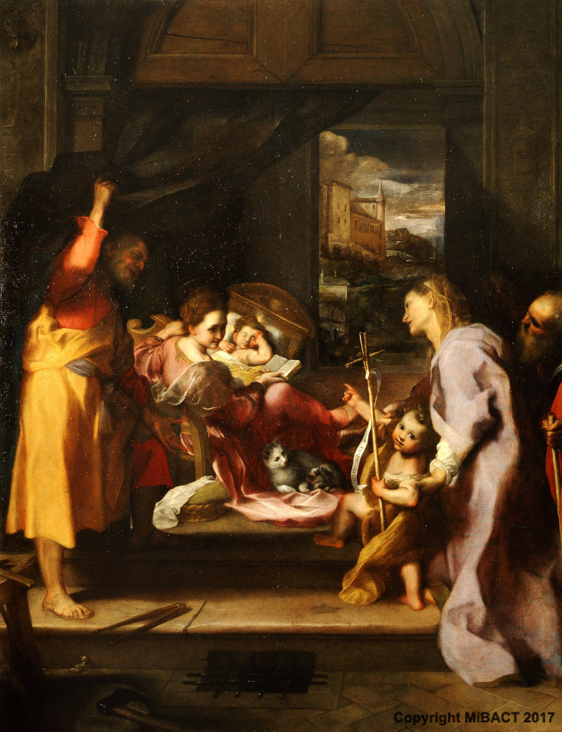 מדונה של החתול - פדריקו ברוצי