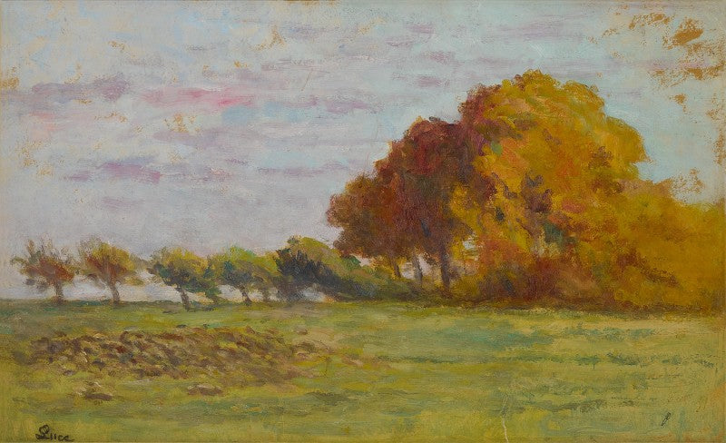 השטח הפתוח סביב רולבואה - מקסימיליאן לוס