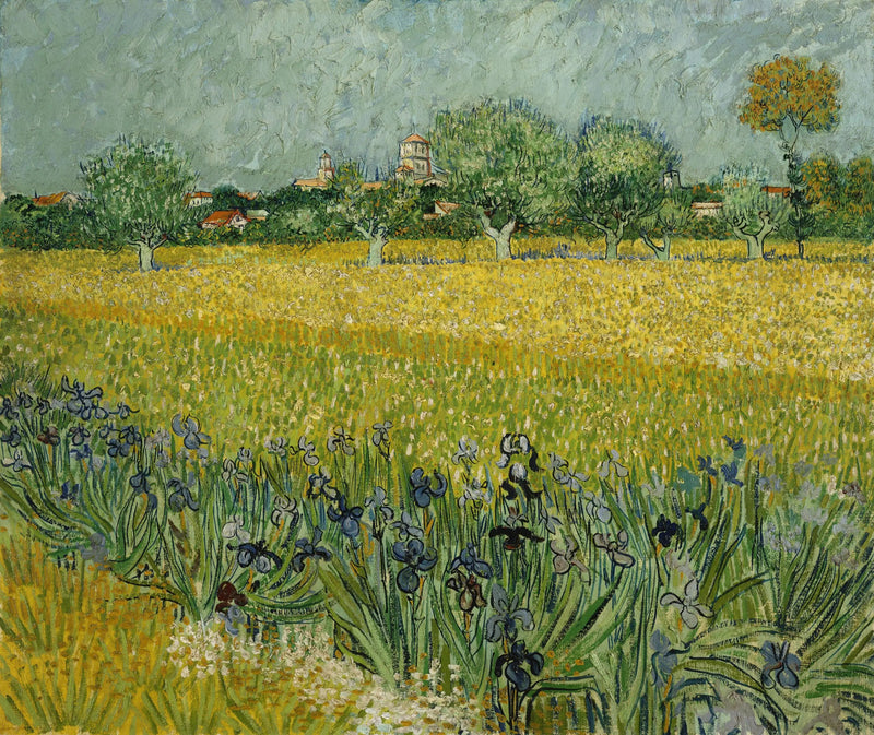 שדה חיטה עם איריסים - Vincent van Gogh