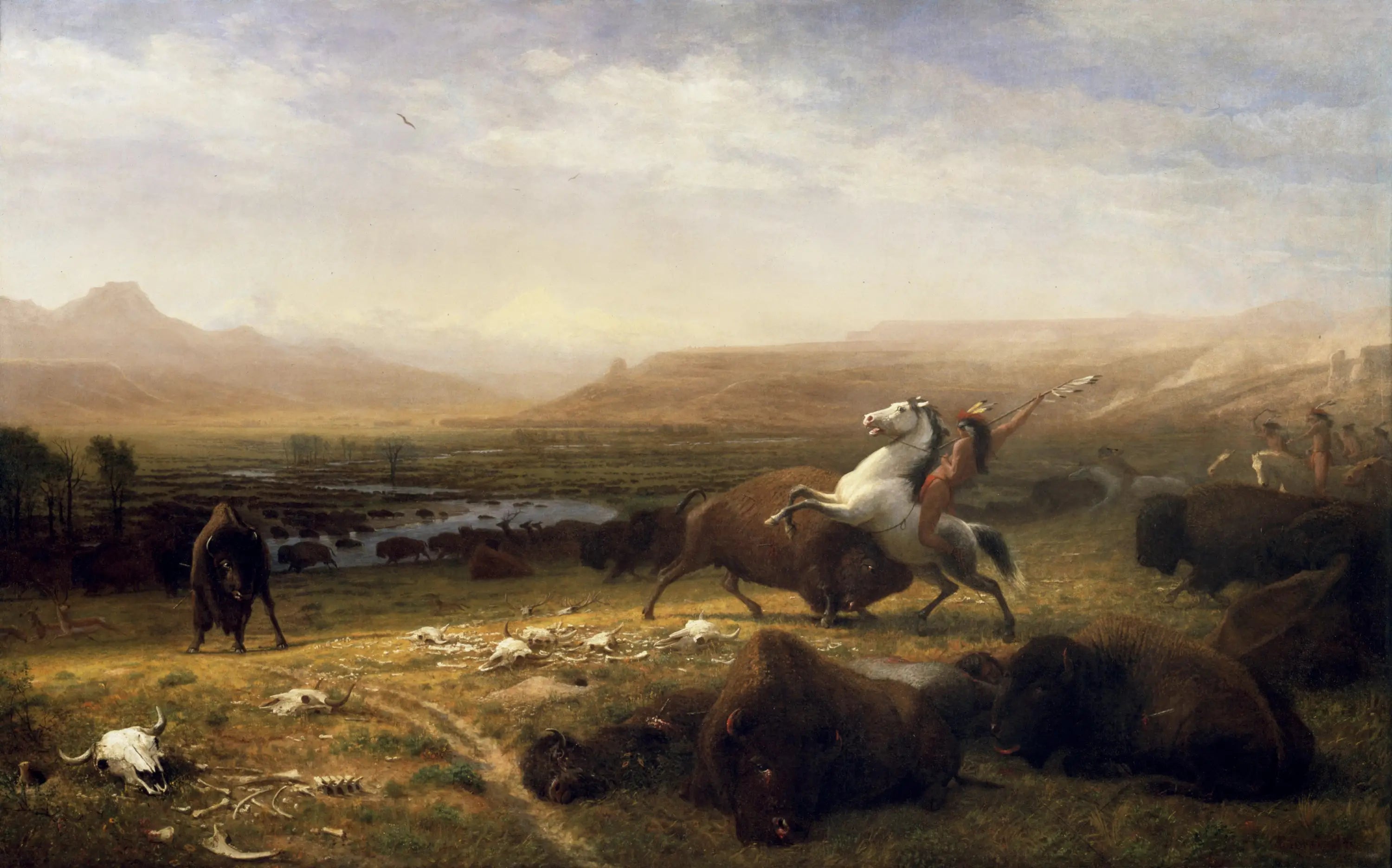 Le Dernier des Buffles 2.60 - Albert Bierstadt - Alpha Reproduction