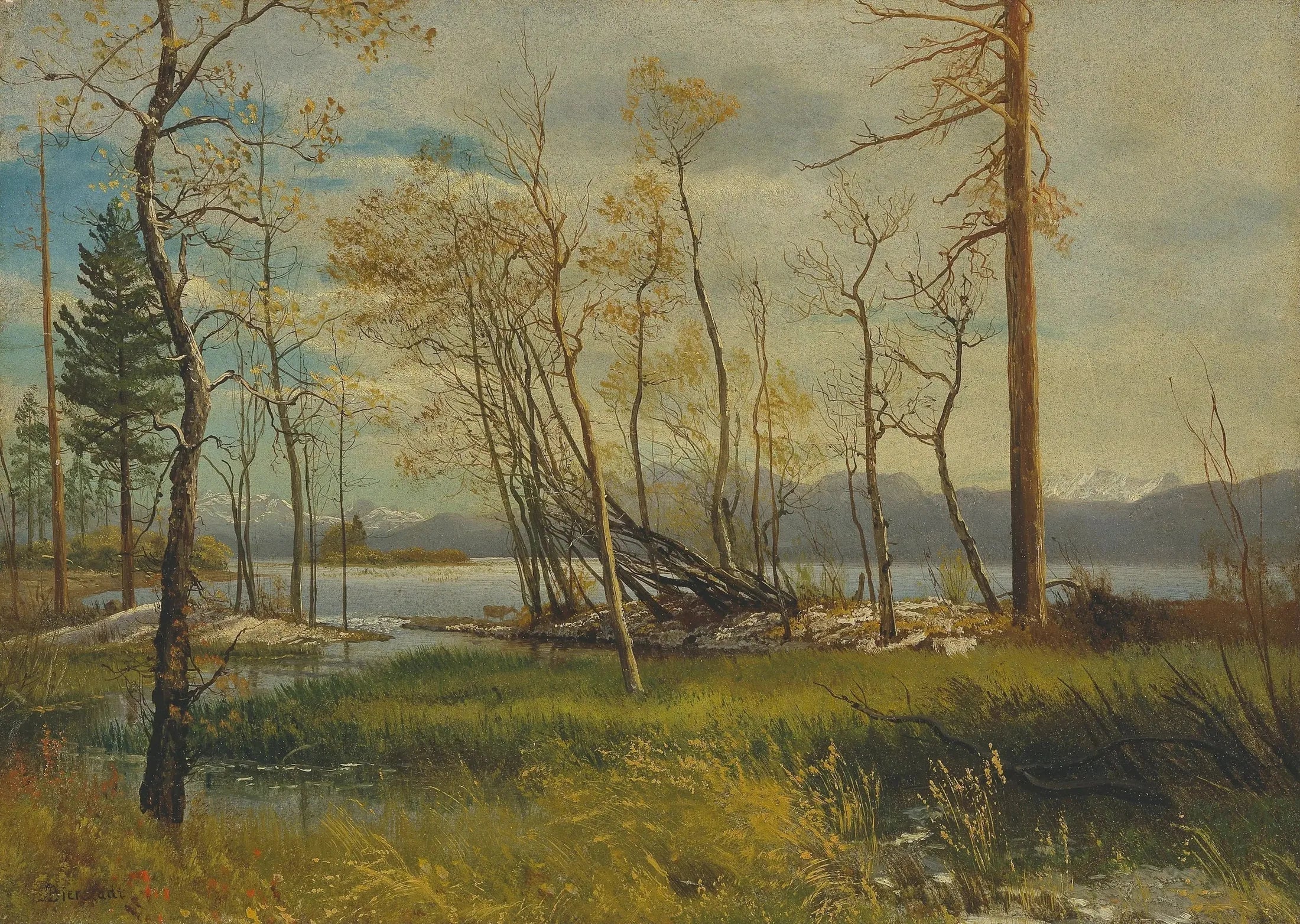 Le lac Tahoe - Albert Bierstadt - Alpha Reproduction