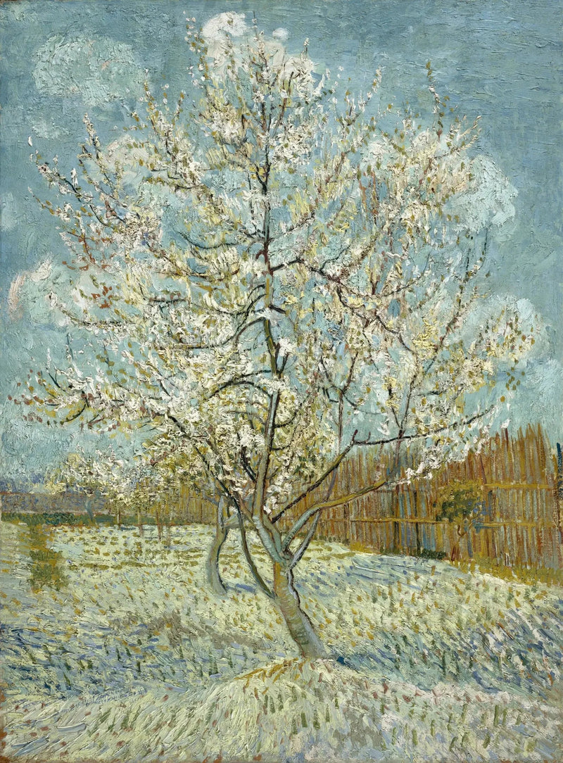 הדובדבן הוורוד - Vincent van Gogh