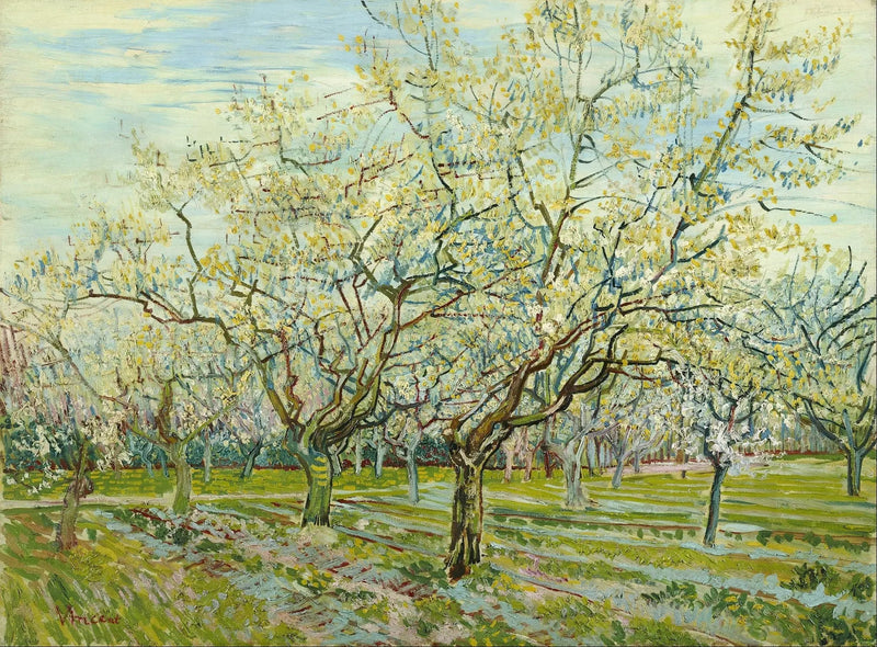 הפרדס הלבן - Vincent van Gogh