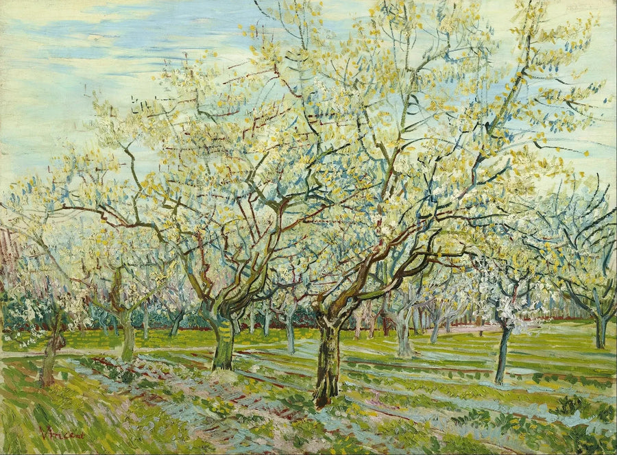 הפרדס הלבן - Vincent van Gogh