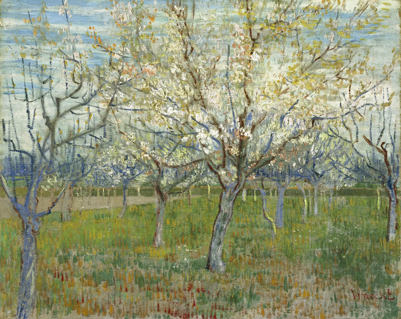 הפרדס הוורוד - Vincent van Gogh