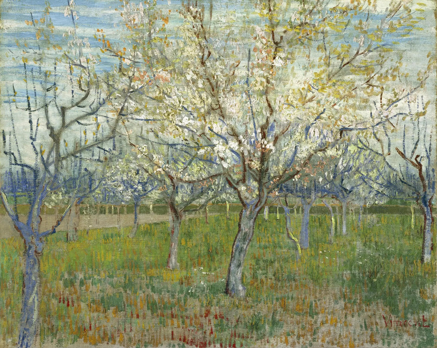 הפרדס הוורוד - Vincent van Gogh