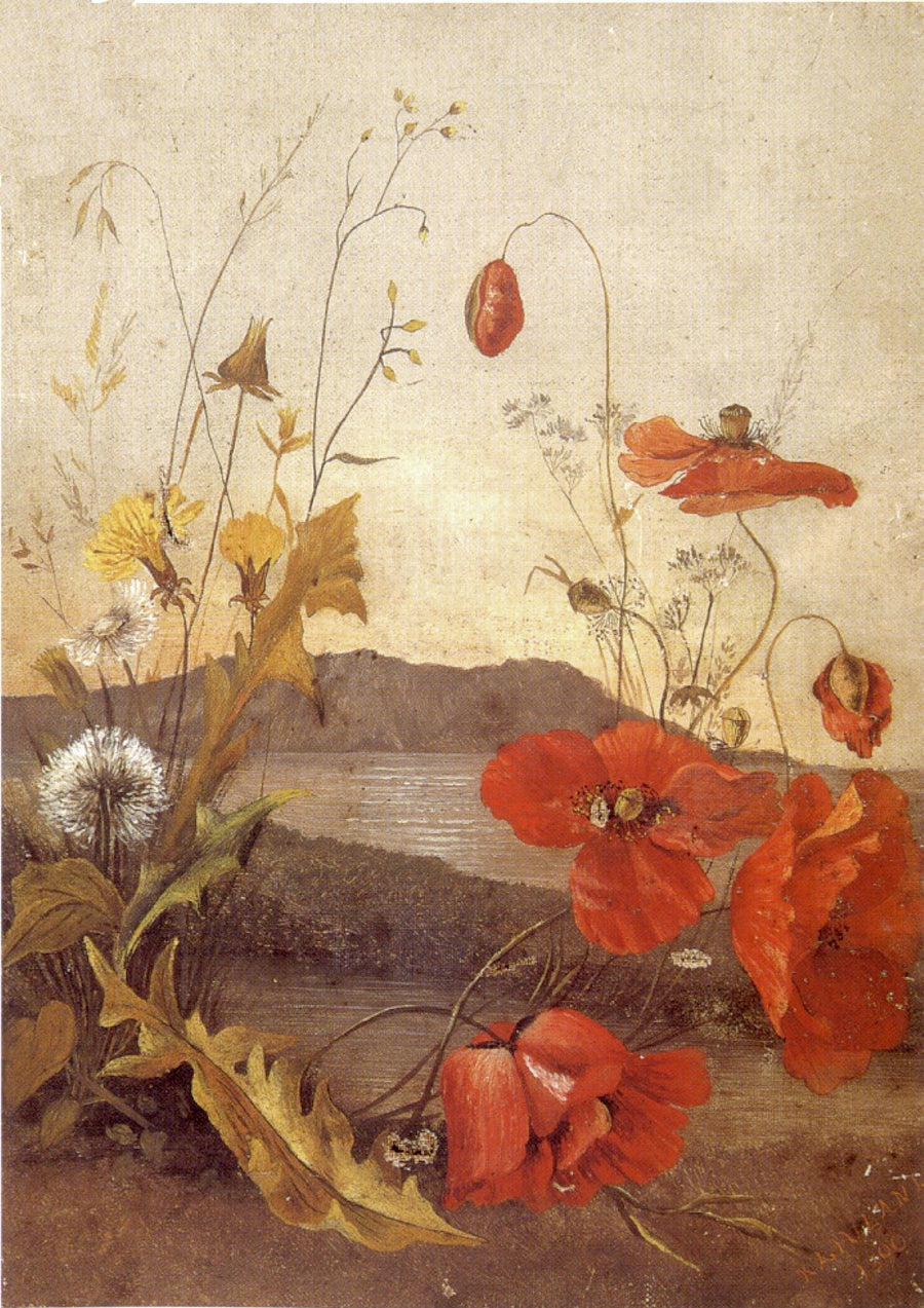 Les Coquelicots – Princess Kaʻiulani