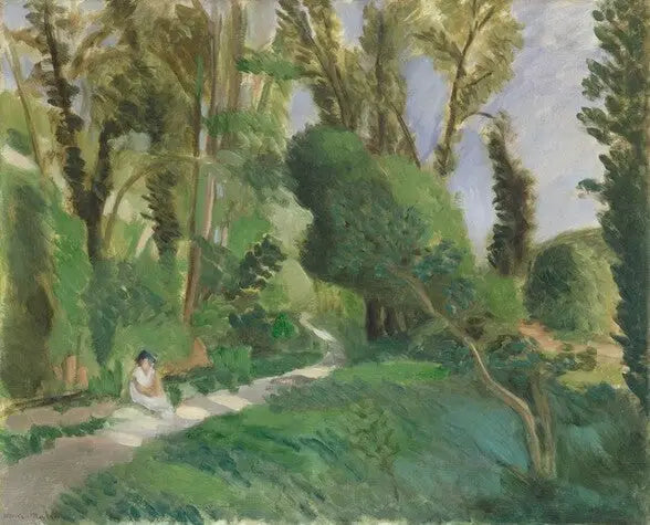 הקניונים של לופ - אנרי מאטיס