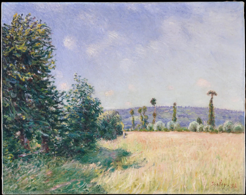 הפרדסים של סהור בשמש הבוקר - אלפרד סיסלי