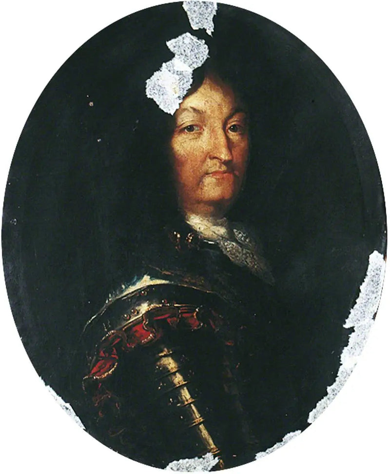 לואי ה-14 (1638–1715), באורווה - הייאנט ריגו