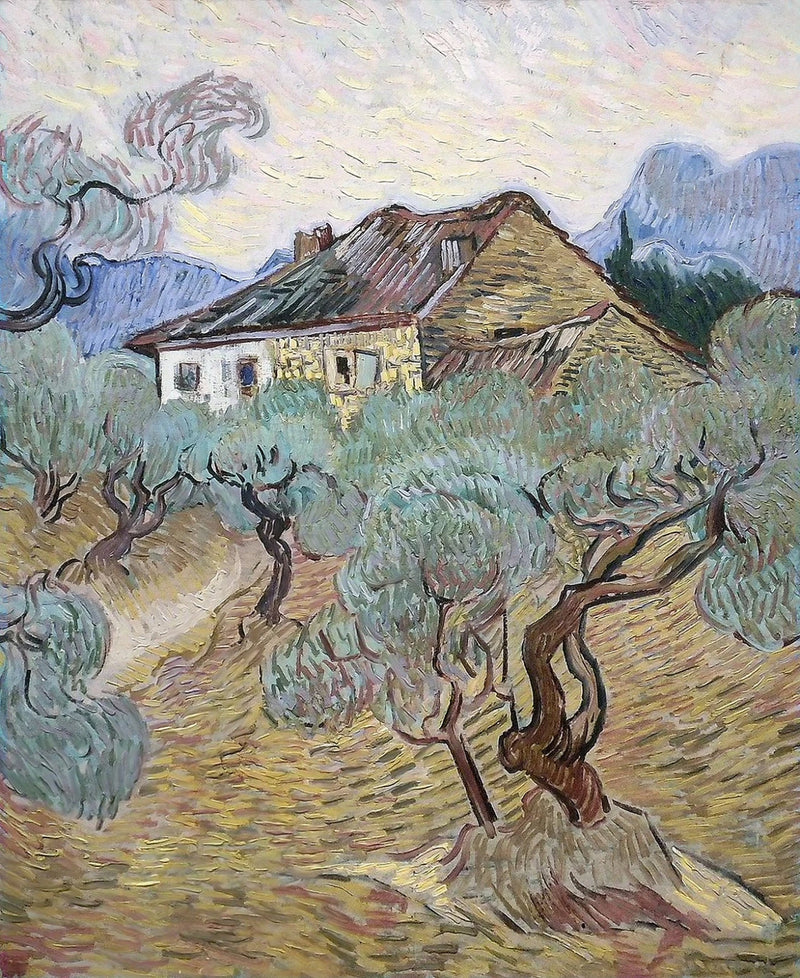 הבית הלבן בין עצי הזית - Vincent van Gogh