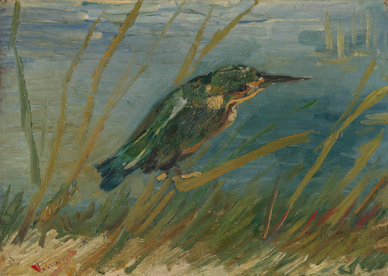 סנונית הדיג על שפת המים - Vincent van Gogh