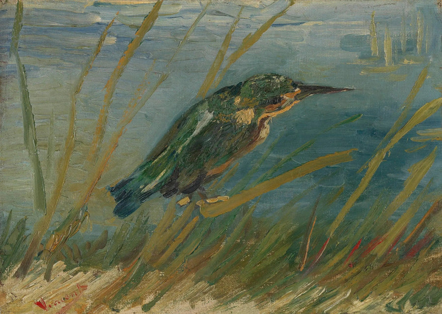 סנונית הדיג על שפת המים - Vincent van Gogh