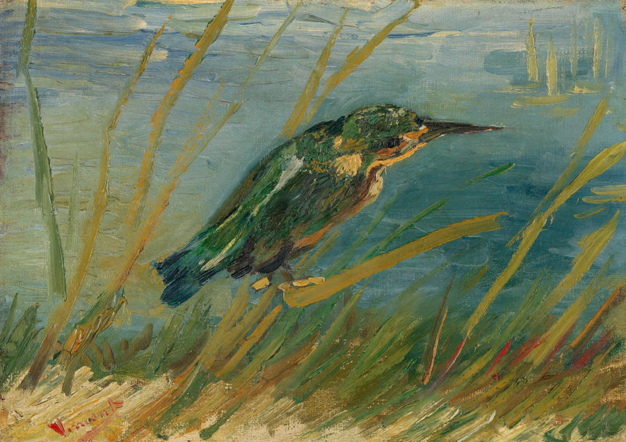 סנונית הדיג על שפת המים - Vincent van Gogh