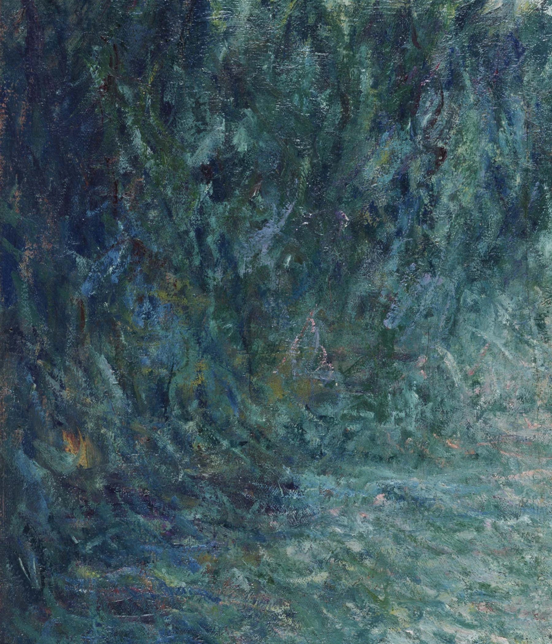 Détail des branches de saule et de l’eau bleu vert dans la Matinée sur la Seine W1499