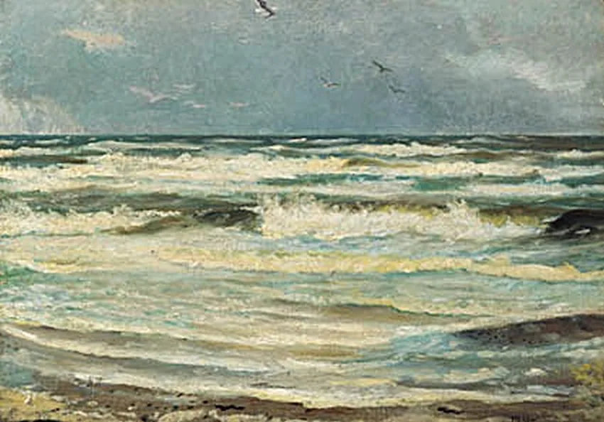 שחפים ב-Skagen Senderstrand. -מייקל פיטר אנשר