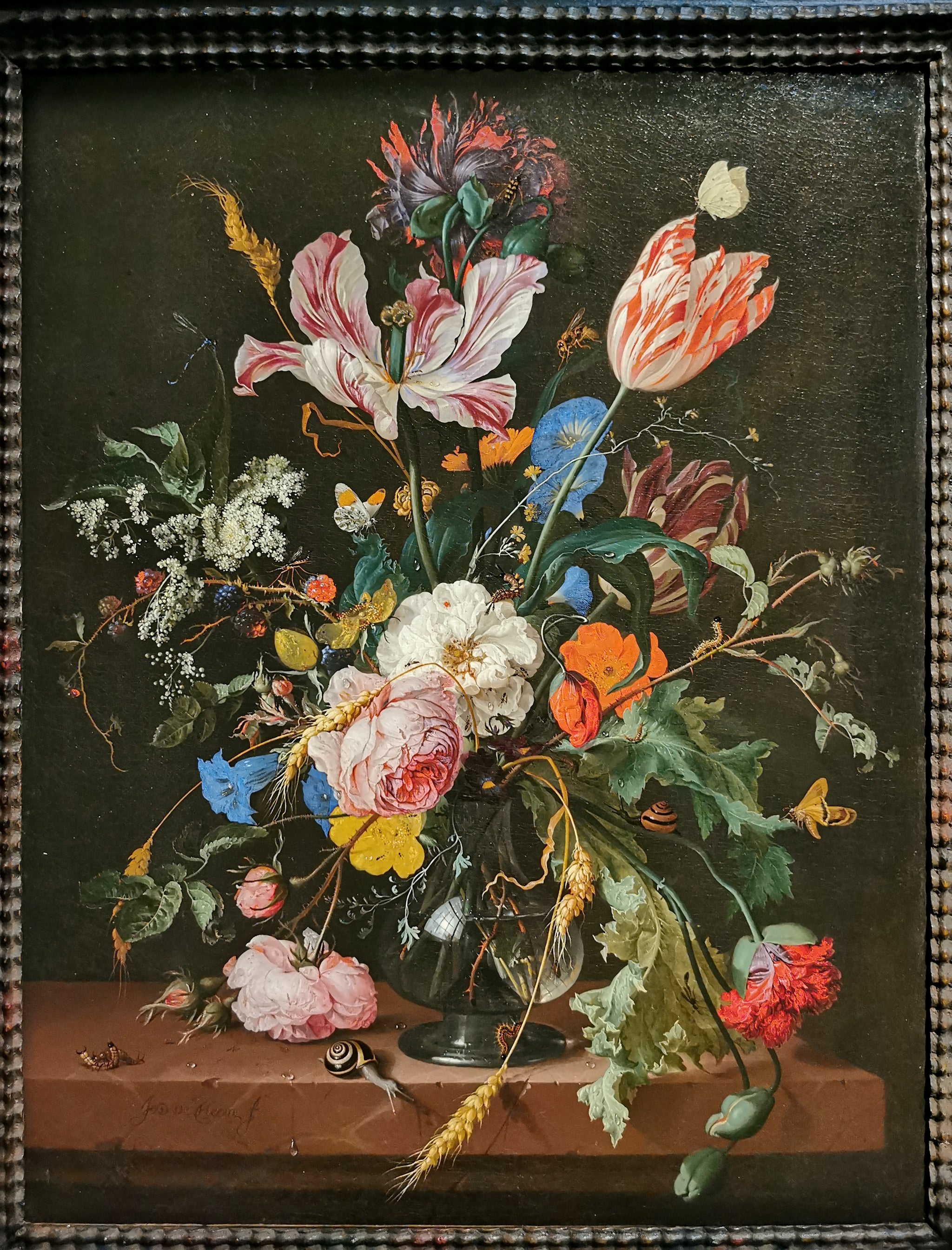 Nature morte florale aux pavots – Jan Davidsz. de Heem, peinture de coquelicots