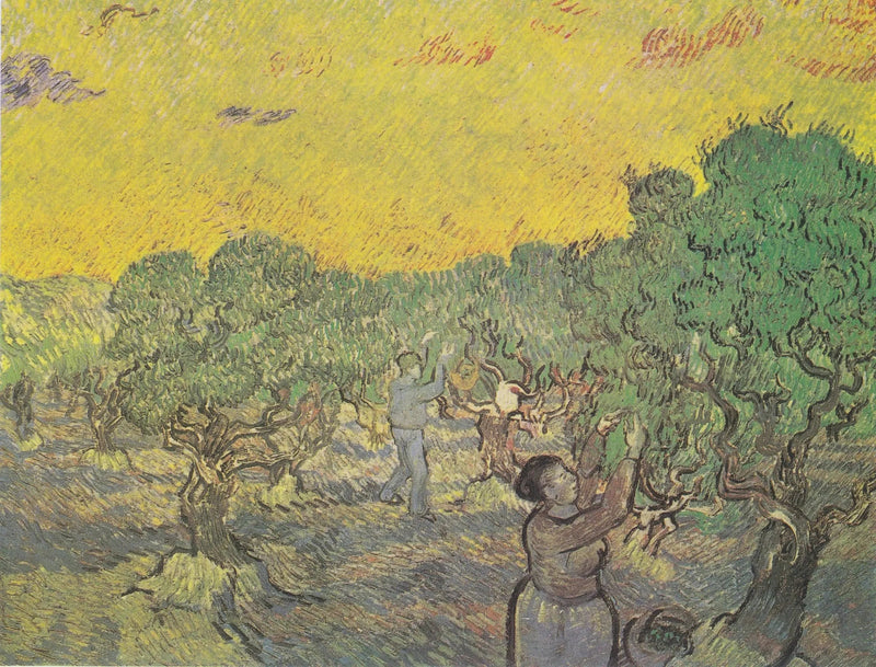 מטע זיתים עם דמויות קציר - Vincent van Gogh