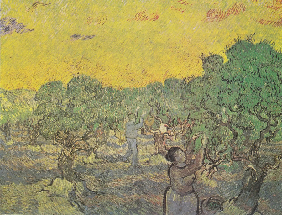 מטע זיתים עם דמויות קציר - Vincent van Gogh