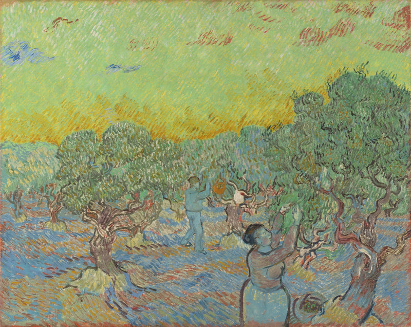 מטע זיתים עם דמויות קציר - Vincent van Gogh