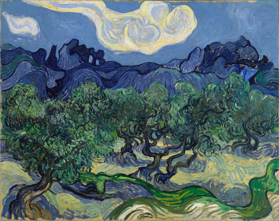 Les Oliviers avec les Alpilles F712 de Vincent van Gogh, Museum of Modern Art